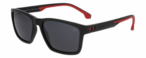 DAKAR SUN 10009 COL 616