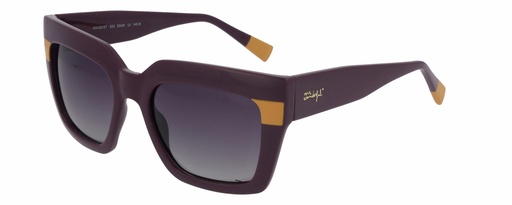 MR. WONDERFUL SUN  29157 COL 553