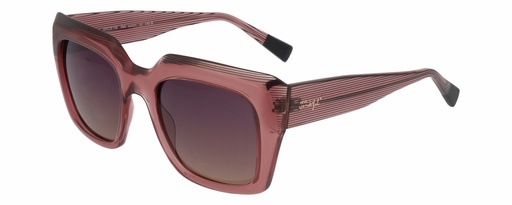 MR. WONDERFUL SUN  29158 COL 566