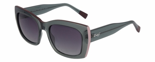 MR. WONDERFUL SUN  29163 COL 515