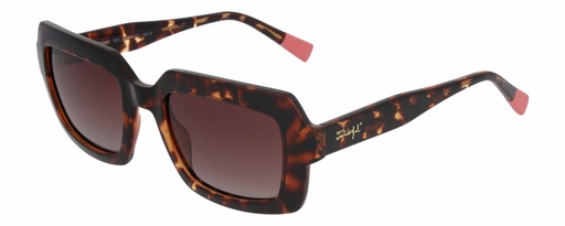 MR. WONDERFUL SUN  29166 COL 593