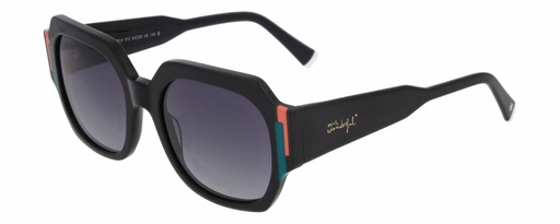 MR. WONDERFUL SUN  29813 COL 512