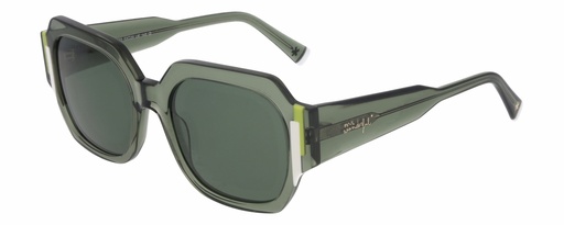 MR. WONDERFUL SUN  29813 COL 533